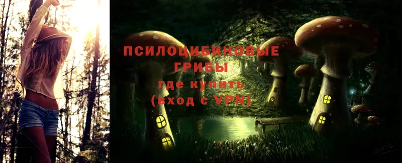 Псилоцибиновые грибы Magic Shrooms  Биробиджан 